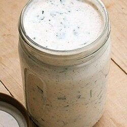 Unleashing the Truth: Inside Badlands Ranch and the Pursuit of Perfect Canine Nutrition