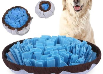 Unlocking the Canine Mind: How to Understand and Relieve Your Dog’s Stress