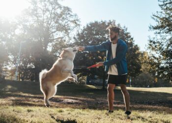 Why Teaching Your Dog to Attack Is a Dangerous Mistake – And How to Raise a Truly Loyal Protector
