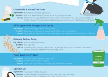 Say Goodbye to the Itch: A Veterinarian’s Ultimate Guide to Relieving Your Dog’s Discomfort and Restoring Peace at Home