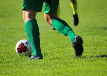 The Ultimate Dog Ball Guide: What Really Works and Why I Ditched the So-Called “Best” Lists