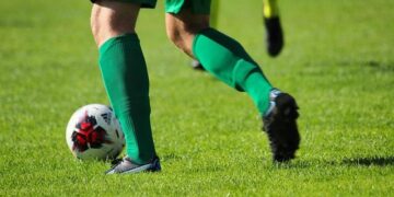 The Ultimate Dog Ball Guide: What Really Works and Why I Ditched the So-Called “Best” Lists