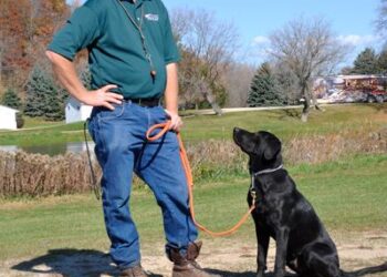 From Chaos to Control: How a Dog Whistle Transformed My Recall Training