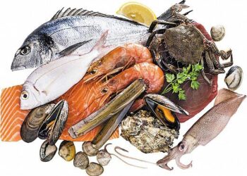 The Ultimate Guide to Choosing the Best Fish for Dogs with Kidney Disease