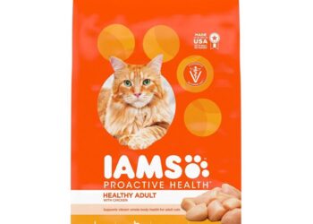 Grain-Free Canned Cat Food Uncovered: What the Science Really Says vs. the Hype