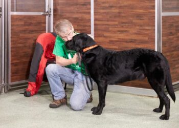 The Ultimate Guide to Picking and Training the Perfect Apartment Watchdog