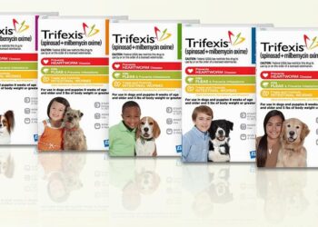 How Choosing the Right Heartworm Medicine Is the Smartest Investment in Your Dog’s Health