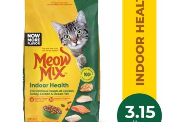 How Changing My Cat’s Food Saved His Life: Discovering the Best High-Protein Canned Cat Food