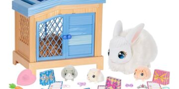 Vet-Approved Secrets: How to Choose Teething Toys That Truly Work