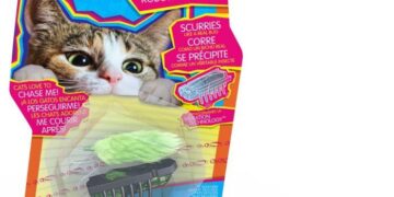 Crack the Cat Code: How to Choose and Use the Perfect Laser Toy According to a Feline Expert
