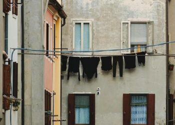 The Ultimate Guide to Safe and Effective Laundry Detergents for Your Dog’s Health and Hygiene