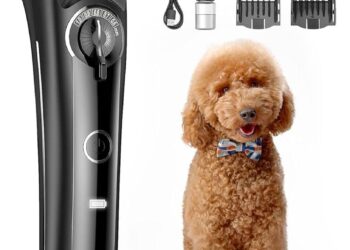 Mastering Dog Grooming: How to Choose and Use the Best Clippers for Your Cocker Spaniel