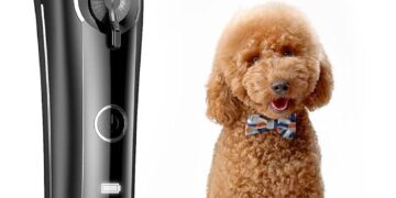 Mastering Dog Grooming: How to Choose and Use the Best Clippers for Your Cocker Spaniel