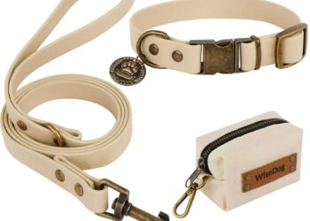 The Ultimate Guide to Picking the Perfect Dog Collar and Leash for Your Pup