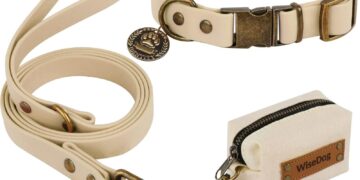 The Ultimate Guide to Picking the Perfect Dog Collar and Leash for Your Pup