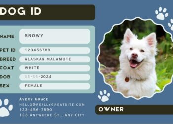 Meet the Unlosable Dog: The Revolutionary Pet ID System That Always Brings Them Home