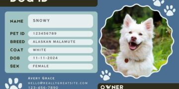 Meet the Unlosable Dog: The Revolutionary Pet ID System That Always Brings Them Home