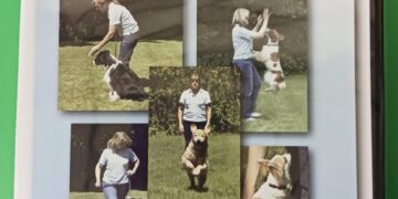 Unlocking Your Dog’s Potential: A PhD’s Guide to Choosing the Perfect Obedience School for Lifelong Success