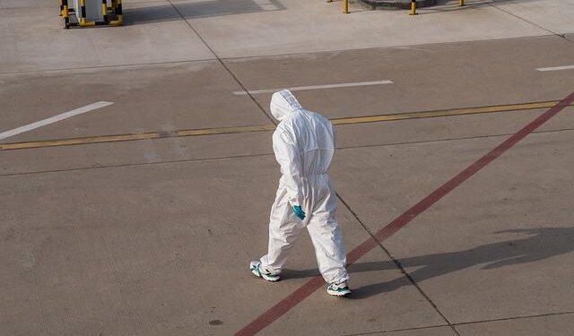 Uncovering the Truth: My Quest for a Dog Seat Belt That Truly Protects