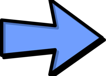 From Confusion to Clarity: How I Navigated Online Dog Advice and Built a Five-Star Resource Guide