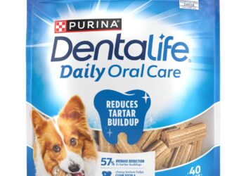 How to Choose the Best Dog Toothbrush for Tartar Control: A Vet’s Expert Guide