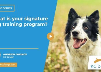 Unlocking Success: How to Choose the Right Online Dog Trainer Program for Your Career