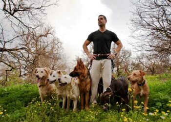 Finding Portland’s Top Dog Trainer-and a Stronger Bond with My Best Friend