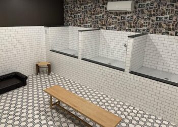 Transform Your Dog Wash Routine into a Spa-Like Experience with the Ultimate Home Station