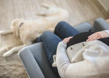 Ditching the Cone: How My Dog Found Comfort-and How Yours Can Too