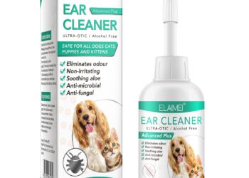 How I Finally Cured My Dog’s Chronic Ear Infections by Rethinking Everything