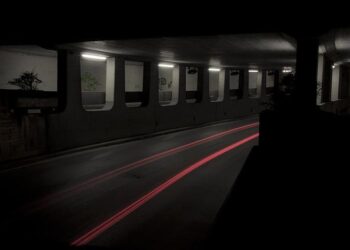 How Effective Are Enzymatic Cleaners at Removing Dog Urine from Porous Concrete?