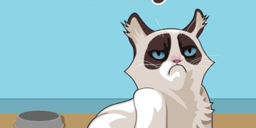 Top Vet-Approved Cat Food Subscriptions Every Modern Carnivore Will Love