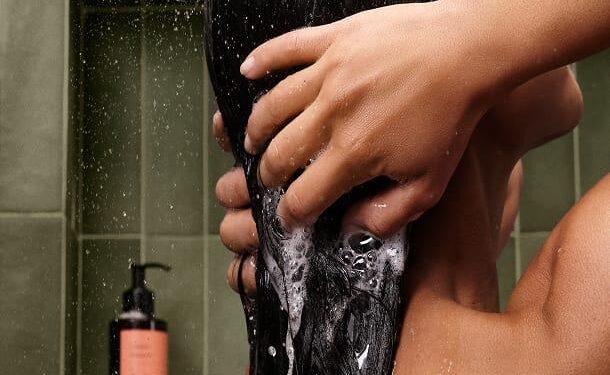 The Leo Protocol: How a Veterinary Dermatologist Uncovered the Truth About Cat Shampoo