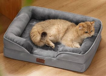 Beyond Warmth: How Neonatal Incubators Inspired the Ultimate Cat Bed