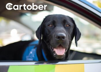 Deploying with Your Dog: A Commander’s Guide to Stress-Free Pet Relocation