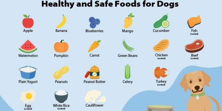 Smart Savings, Happy Tails: A Dog Owner’s Guide to Affordable High-Quality Nutrition