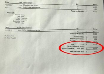 How a $2 Can of Dog Food Turned Into a $200 Vet Bill – And How to Find Quality Wet Food on a Budget