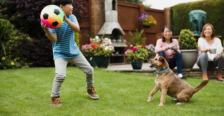 Debunking the Clean Pet Myth: A Systems-Thinking Approach to a Happier, Healthier Home