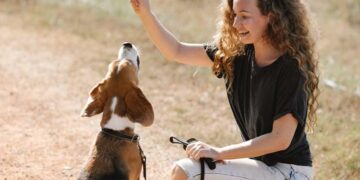 Mastering the Perfect Walk: Top Leash Training Tools for a Happy, Well-Behaved Dog