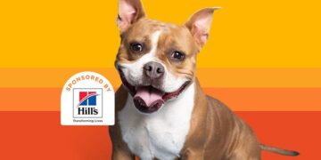 How to Find Your Perfect Dog: The Matchmaking Method That’s Changing Pet Adoption