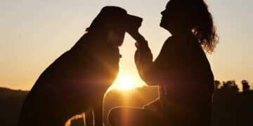 How My Dog’s Near-Death from Heatstroke Changed Everything I Thought About Keeping Pets Cool