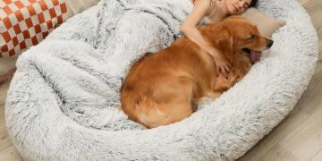 The Chihuahua’s Quest: My Journey to Discovering the Ultimate Dog Bed