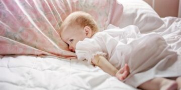 Why I Ditched Dog Beds Forever and Upgraded to Performance-Level Comfort