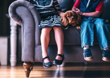 From Sick to Strong: How My Dog Reclaimed Health Through Ancestral Living