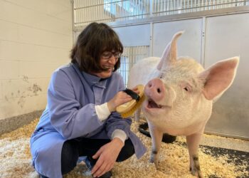 Transforming Animal Welfare in Huntington Park: A Community-Driven Vision for Lasting Change