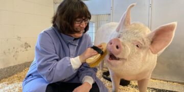 Transforming Animal Welfare in Huntington Park: A Community-Driven Vision for Lasting Change