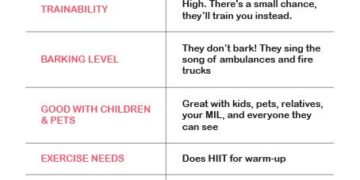 Unlocking the Secrets to a Healthy Siberian Husky: The Ultimate Weight and Wellness Guide