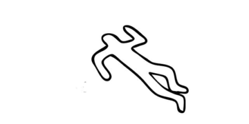 Uncovering the Truth: A Forensic Journey into the Disappearance of the Hyacinth Macaw