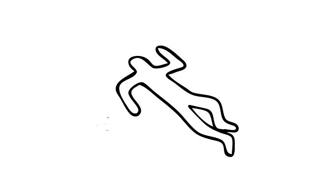 Uncovering the Truth: A Forensic Journey into the Disappearance of the Hyacinth Macaw