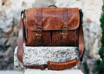 Pamper Your Pitbull: The Surprising Reason I Treat My Dog’s Coat Like Fine Leather